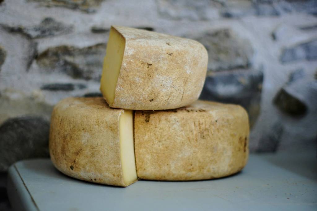 Meule de fromage affiné, pilier des accords fromages et vins