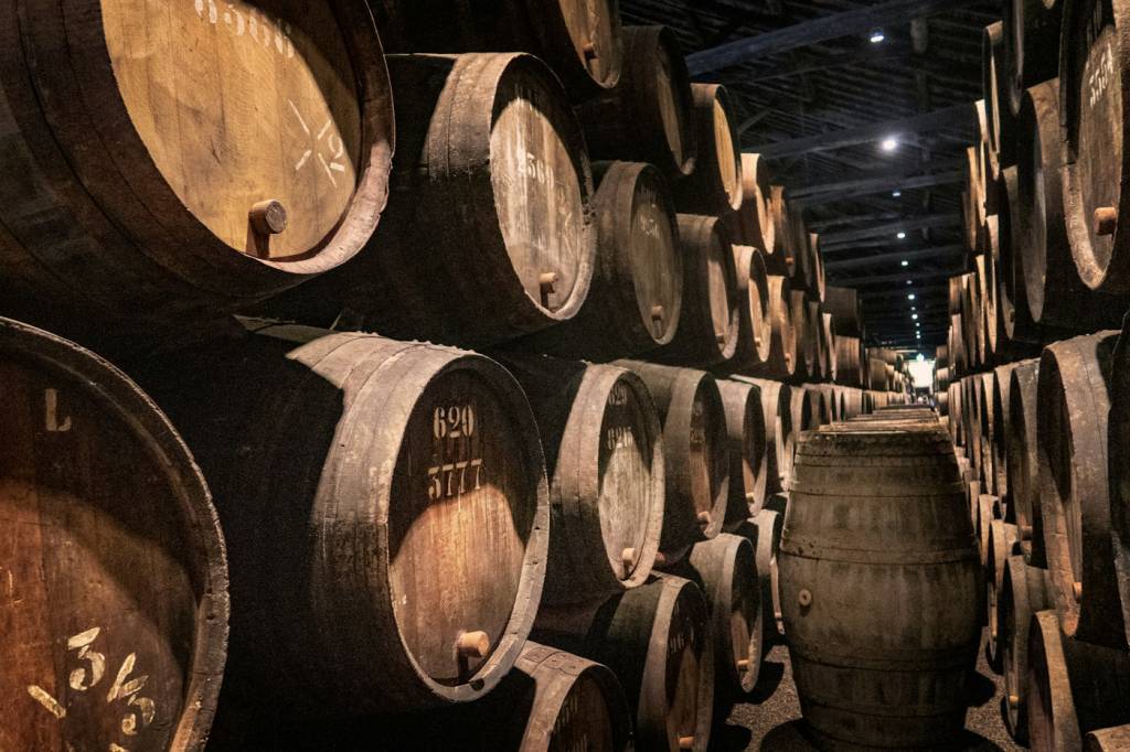 Cave à barriques où l'on apprend les accords mets-vins