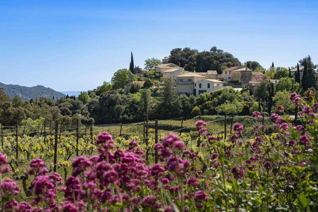 Séjour dans les vignes offert en cadeau pour amateur de vin