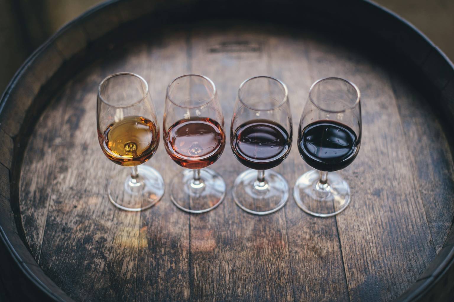 Verres de dégustation alignés pour un cours d'œnologie