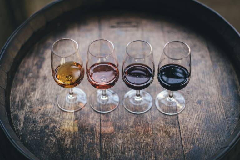 Verres de dégustation alignés pour un cours d'œnologie