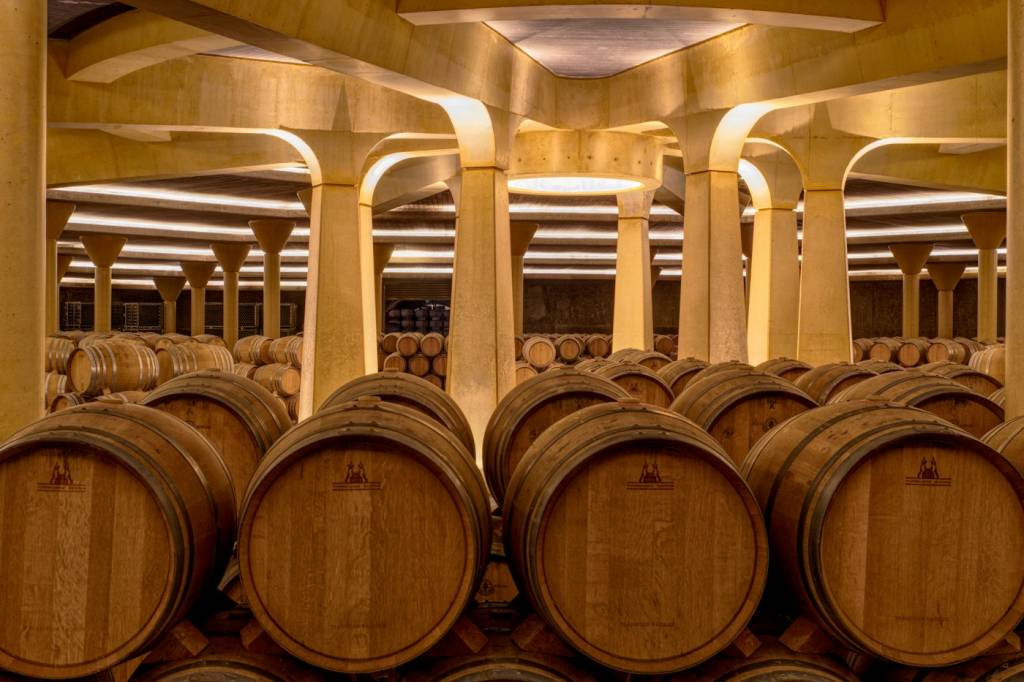 Chai à barriques visité après un cours d'œnologie