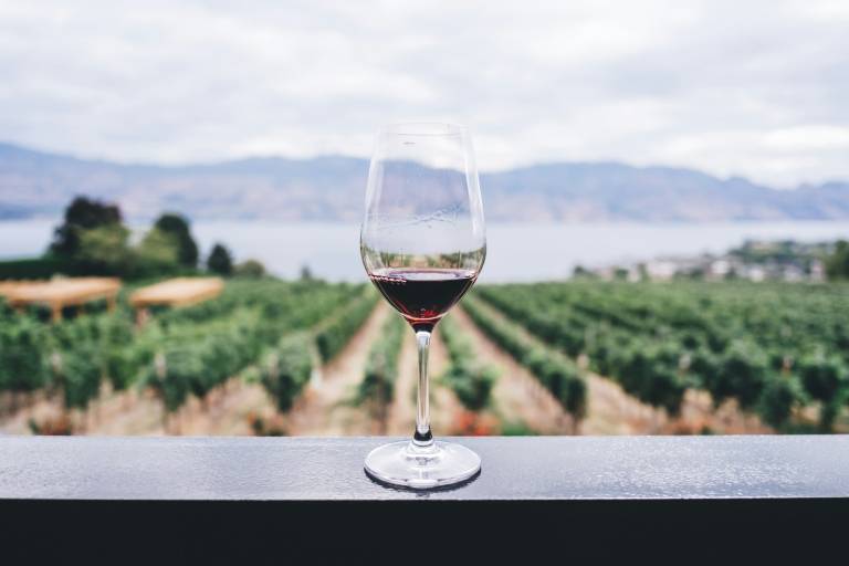 Verre de vin rouge observé pendant une dégustation de vin