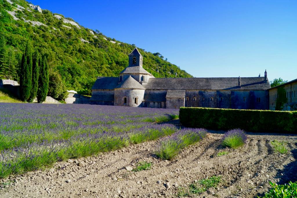 Chemin entre les vignes en restanques lors des fêtes du vin en Provence