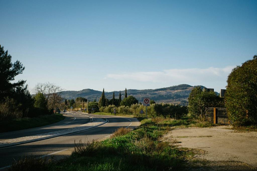 Petite route bordée de vignes sur la route des vins de Provence