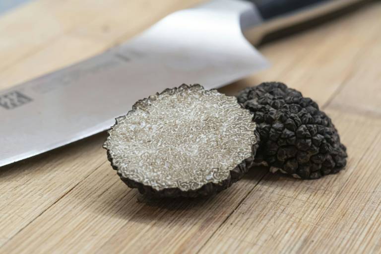 Truffe noire de Provence fraîchement récoltée