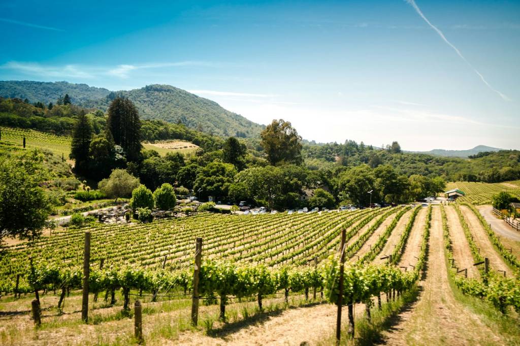 Maison provençale entourée de vignes dans une destination Vignobles & Découvertes