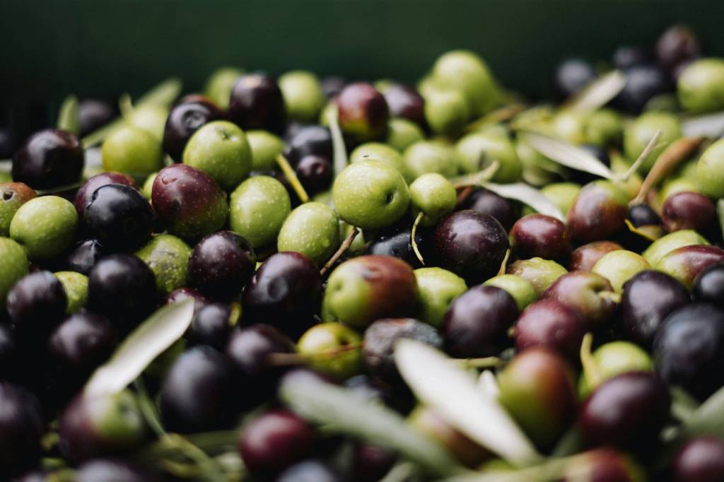 Étals d'un marché provençal dans une destination Vignobles & Découvertes