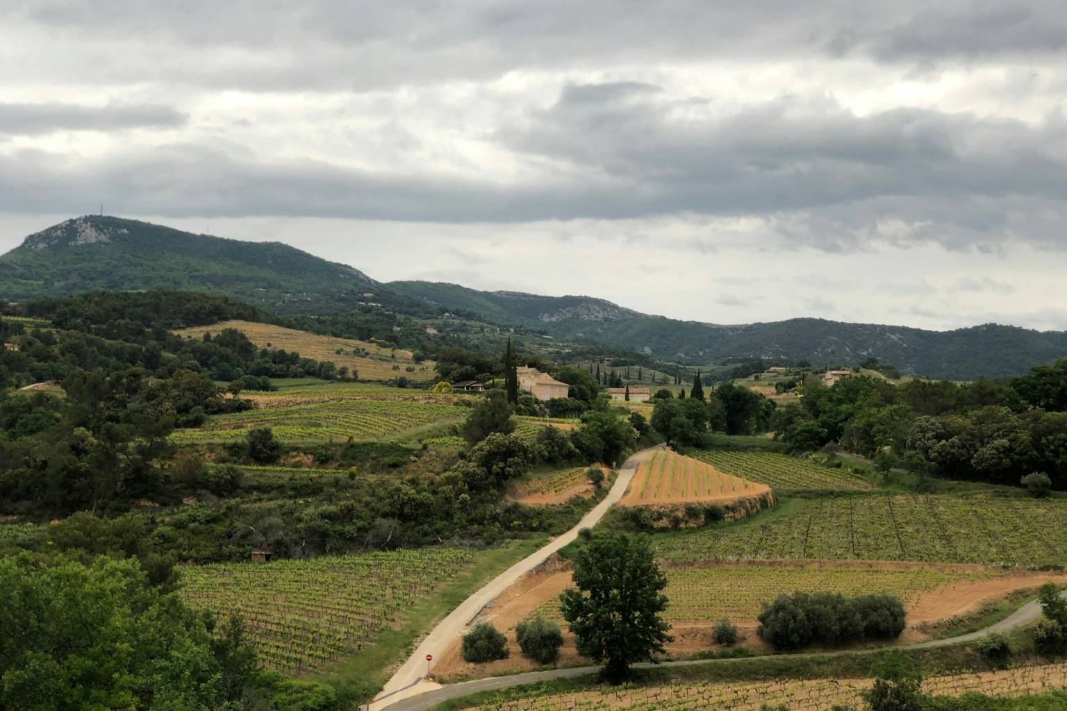 Vignes et collines d'une destination Vignobles & Découvertes en Provence