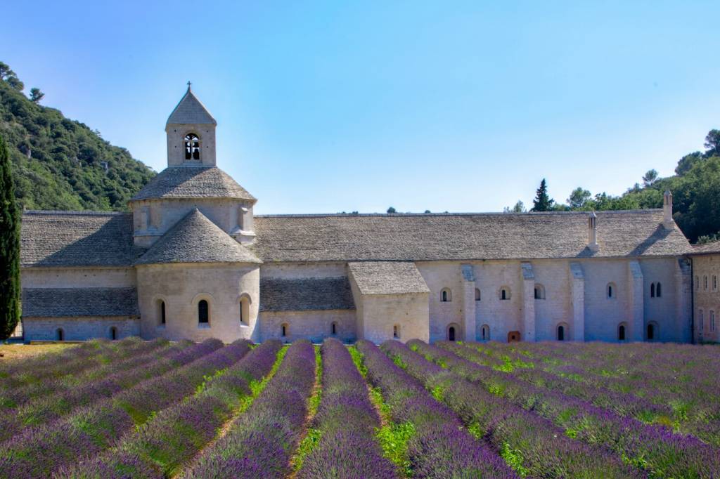 Champ de lavande en fleur près des villages du Luberon