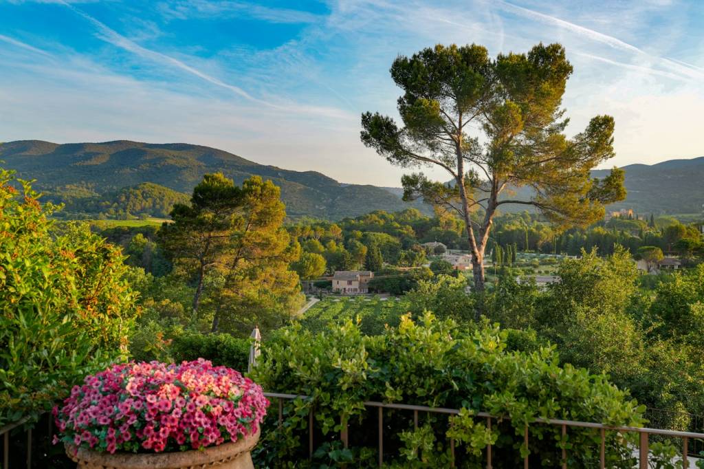 Rangs de vignes au pied d'un des villages du Luberon