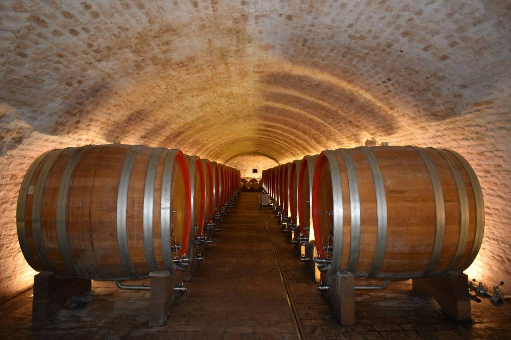 Barriques alignées dans un chai lors d'un week-end œnologique